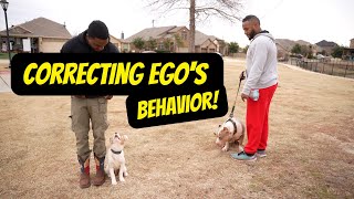 Correcting Ego's wild behavior!!!