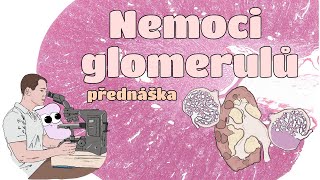 Patologie - Nemoci glomerulů (CZ)