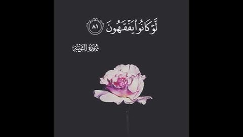 سورة التوبة بصوت القارئ "مشاري العفاسي"