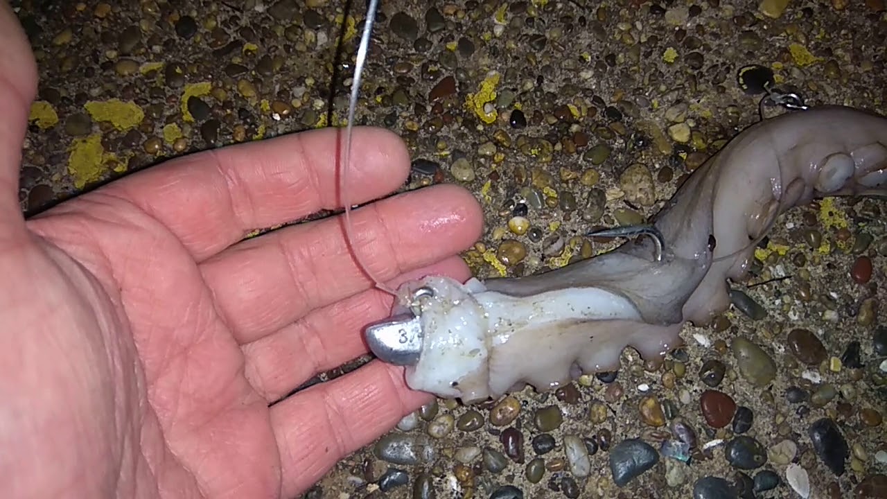 Octopus Jewfish Mulloway swim bait stinger rig 