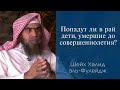 Попадут ли в рай дети, умершие до совершеннолетия? | Шейх Халид аль-Фулейдж