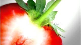 Download lagu Benecol