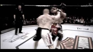 Lesnar vs Overeem