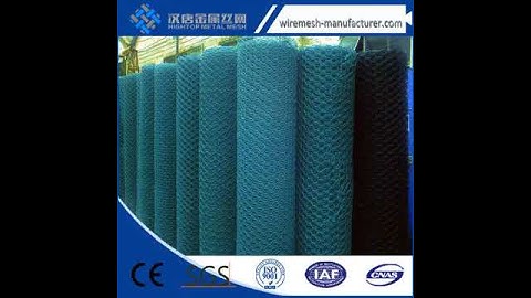 hexagonal wire netting