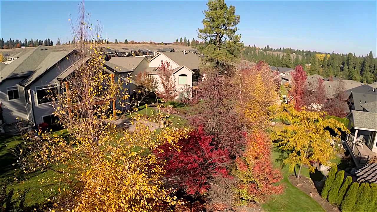 XPG Gimbal With ProTune Footage