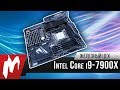 Intel Core i9 против всех — Первые тесты 10-ядерника нового поколения – Железный цех — Игромания