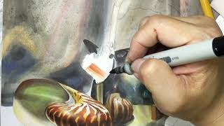COPIC MARKER 麥克筆插畫技法－有鸚鵡螺的靜物