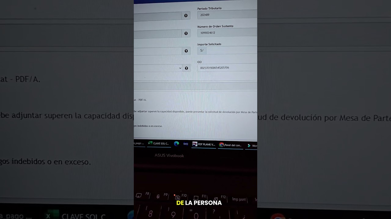 Devolucion de Pago Indebido y Exceso 