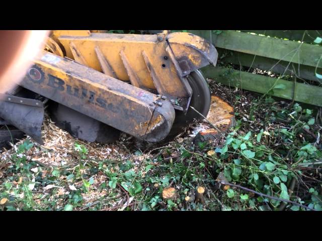 Stump grinding