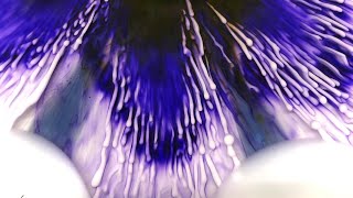 129-Lacey Petals- First Attempt