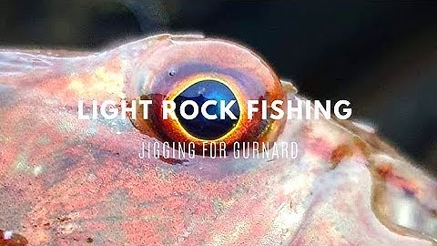 Light Rock Fishing - Jigging for Gurnard