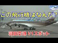 羽田空港 V1 スポットに駐機していた謎の飛行機