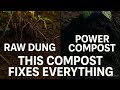 Stop using raw cow dung!This compost trick explodes plant growth fast