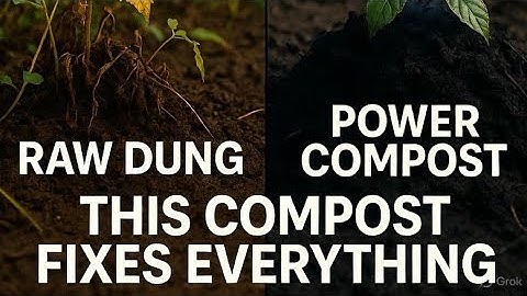 Stop using raw cow dung!This compost trick explodes plant growth fast