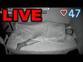 Normal Sleep Stream ASMR №1379 2.06.2026