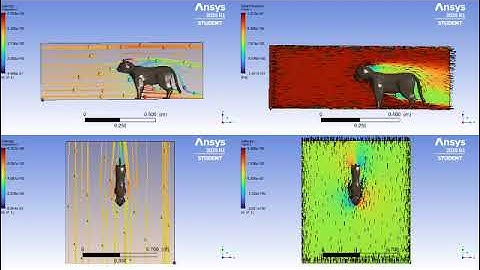 CFD Simulation of Wind Drag on Cat Model | ANSYS CFX