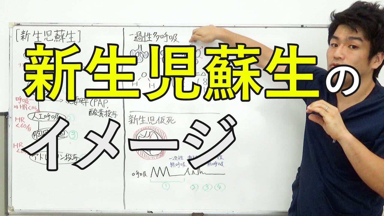 新生児蘇生法の価格と最安値 おすすめ通販を激安で 新生児蘇生法の価格と最安値 おすすめ通販を激安で