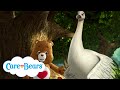 @carebears - Watching a Bird Grow Up! 🦢 | Short | Cartoons for Kids