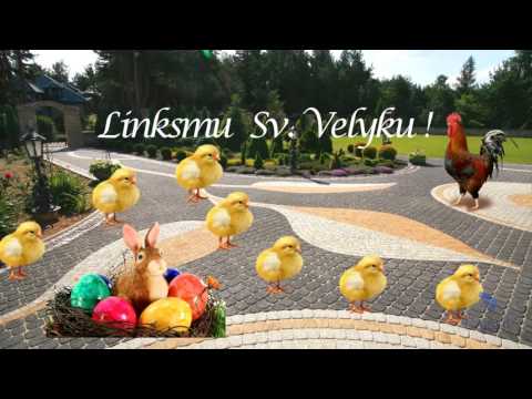 Video: Skirtumas Tarp Kalėdų Ir Velykų Kaktuso