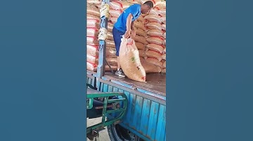 Unloading process of the bagged soybeans