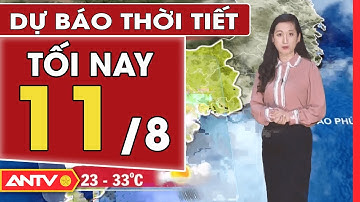 Dự Báo Thời Tiết Tối Ngày 11/8: Miền Bắc Mưa Vừa Mưa To Đến Rất To | ANTV