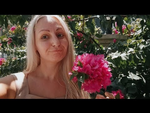 Как русские ведут