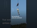 Impactante: un cocodrilo devoró a un empresario en Sudafrica