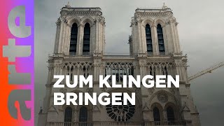 Läuten noch die Glocken von Notre-Dame? | Kultur erklärt - Flick Flack | ARTE