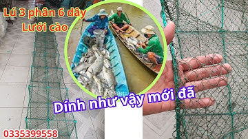 Dòng 12 cửa ngục 3 phân 6 dây luôn được khách hàng tin dùng , hạng sử dụng lên đến 5 năm