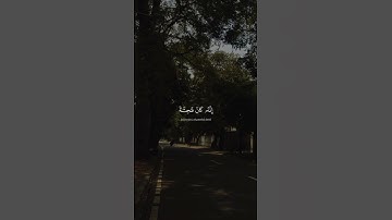 سورة الإسراء | الشيخ محمد صديق المنشاوي 🎧