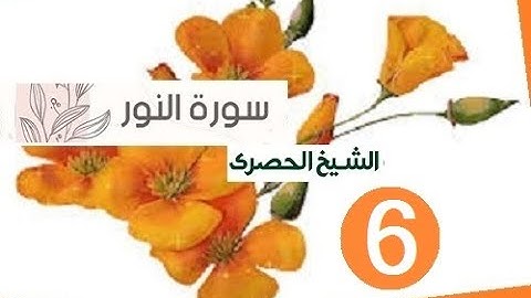 المصحف المعلم الشيخ الحصري سورة النور الجزء الثامن عشر الوجه14