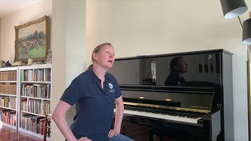 How can 12 notes make millions of songs?