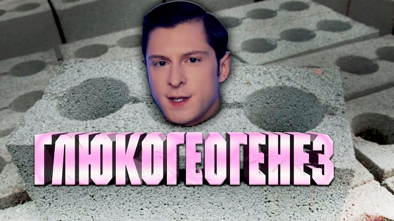 Реакция Апокрифа на обзор Андрея Блока про Шреддера. Питание!