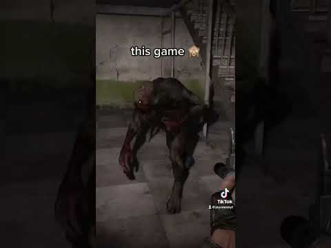 S.T.A.L.K.E.R. makes me scream