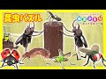 【昆虫パズル】カブトムシ・クワガタ！！昆虫がリアルすぎた・・・