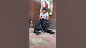 اشبااااااااال باسم هانط وخليها على الله 