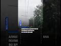 Алматинка шокирована поливом деревьев во время дождя