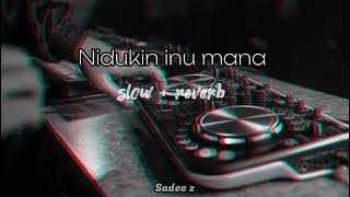 Nidukin inu mana | නිදුකින් ඉනු මැන  #Sadee_z #dimanka_wellalage #slowedandreverb #srilanka