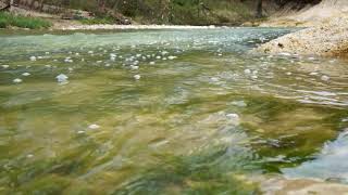 Flowing Water in Woodland Creek | FREE NATURE STOCK FOOTAGE