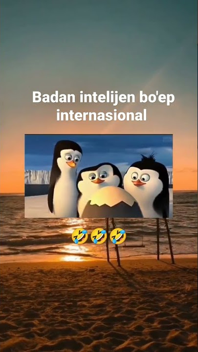 dubbing penguins kocak🤣