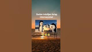 dubbing penguins kocak🤣