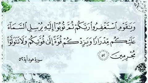 سورة هود الشيخ ماهر المعيقلي حالات واتس