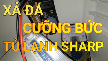 Test xả đá tủ lạnh Sharp mono || ❤️ Điện lạnh Mai Chi ❤️