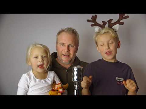 Video: Hvad repræsenterer Holly i julen?