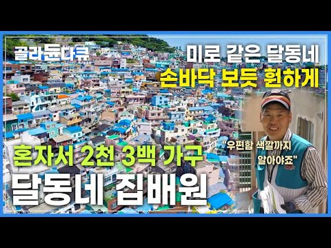 미로 같은 달동네에서 25년! 부산 최대 달동네 감천동의 유일한 집배원│달동네 집배원│길 위의 인생│#골라듄다큐