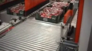 Client Apo Scaligera - Packaging Line For Strawberries - Linea Di Confezionamento Per Fragole