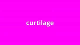 what is the meaning of curtilage