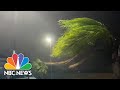 Watch: Tropical Storm Beta Makes Landfall With Heavy Rain, Wind In Texas | NBC News NOW