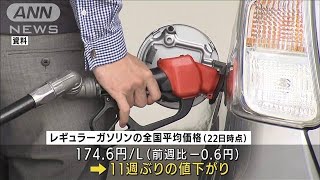 ガソリン価格　11週ぶりの値下がり　政府“上限の25円まで補助”効果があったか(2022年3月24日)
