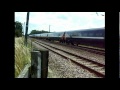 ECML Variety & Action 09 july 2011.